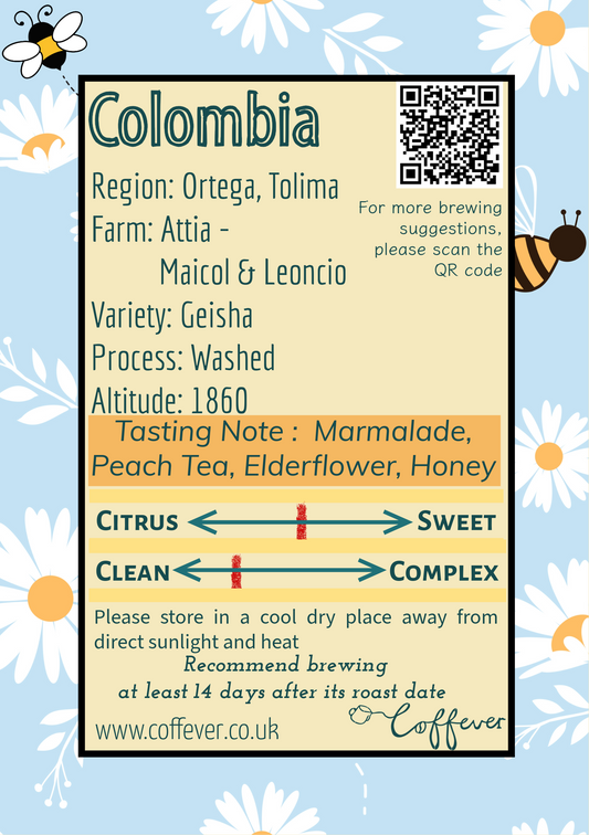 Attia - Colombia Geisha