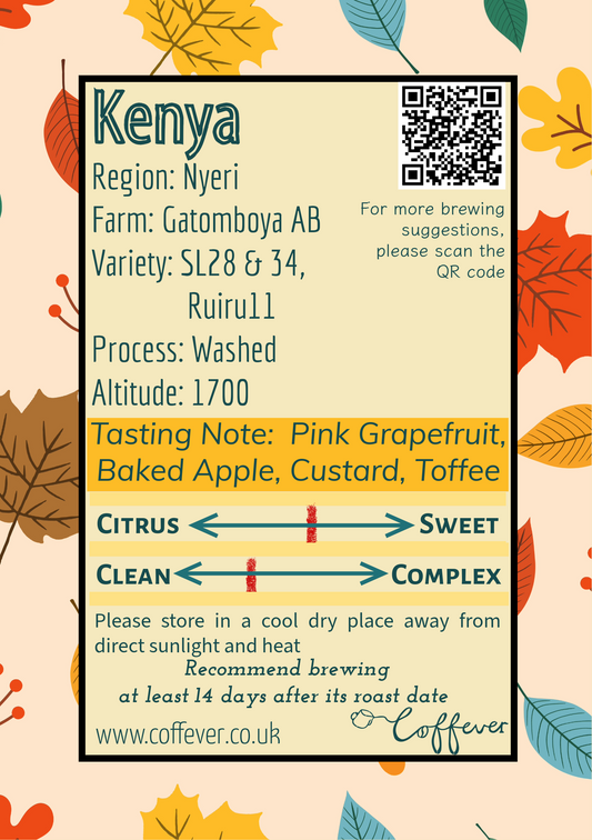 Kenya Gatomboya AB